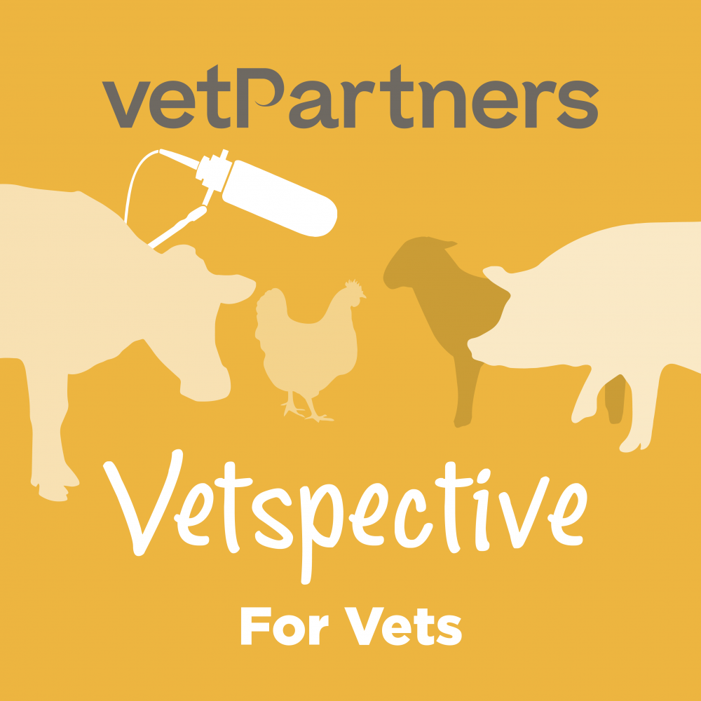 VetPartners launches two exclusive podcasts