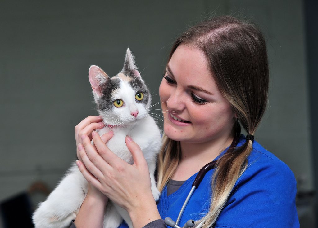 Student nurse Amy-Kate Jukes with Millie the cat to mark World Spay Day