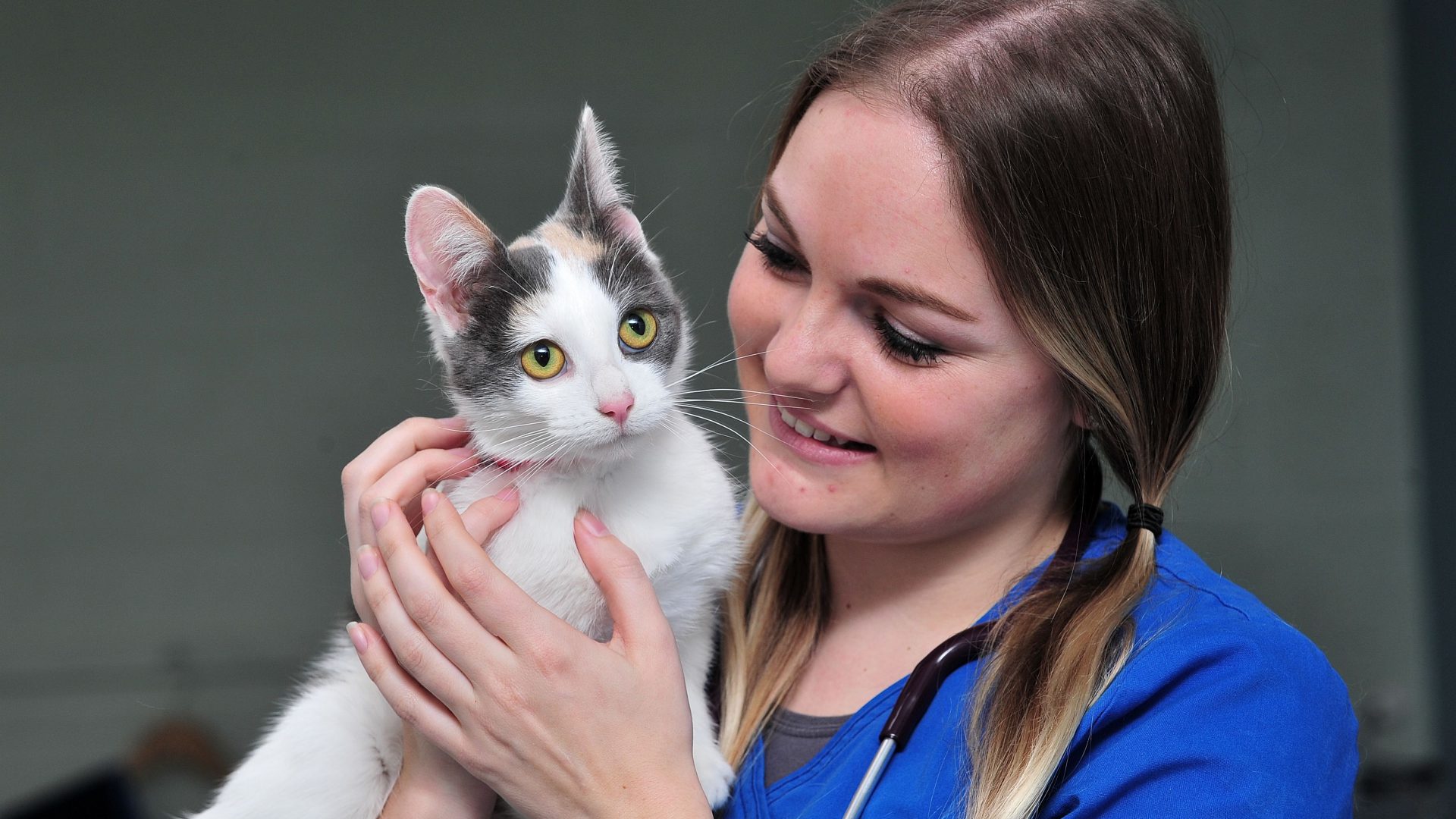 Neutering drive can have purr-fect results this World Spay Day