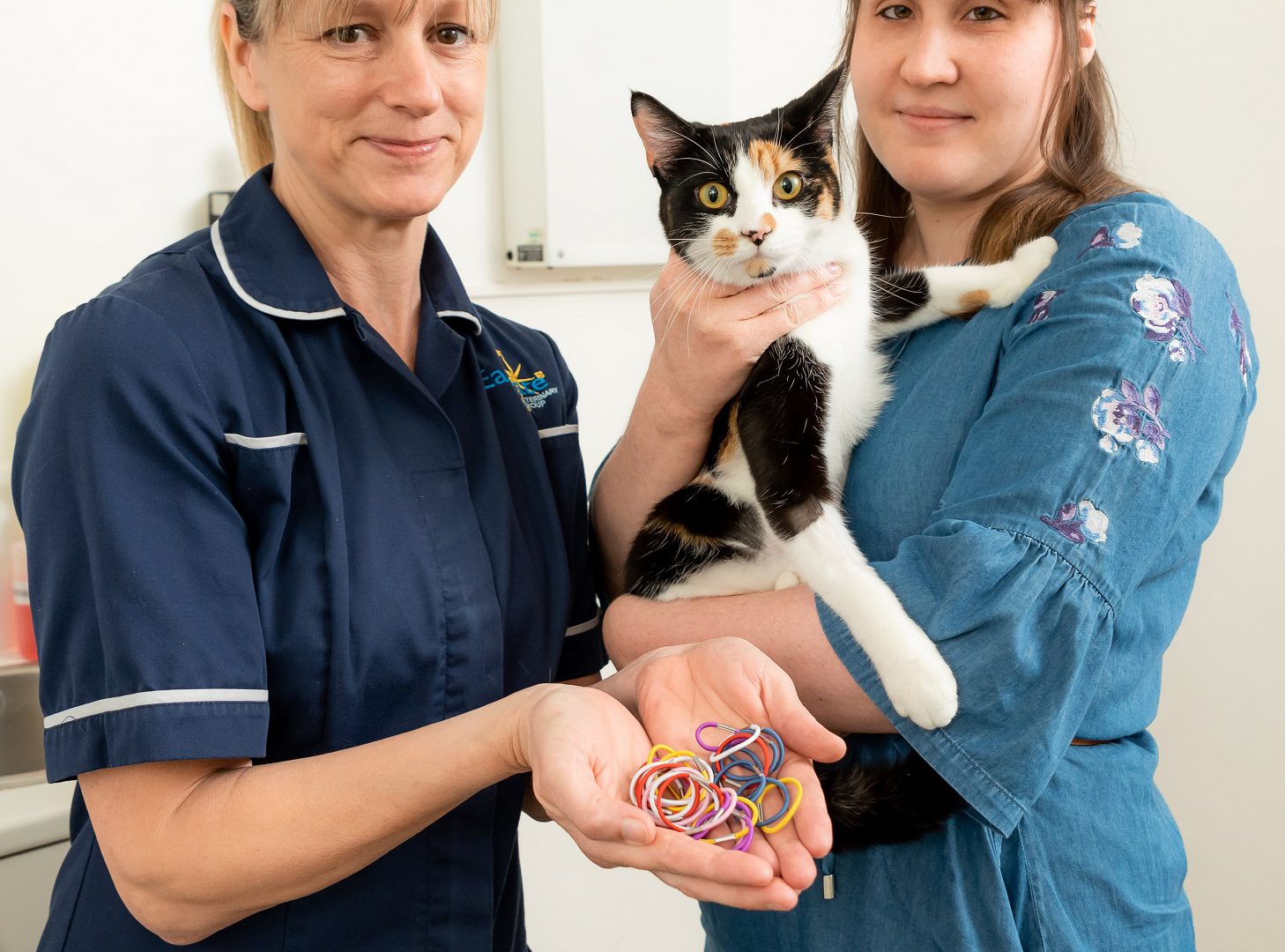 Cat saved by vets after stomach found to be full with 50 hair bands