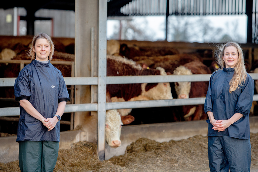 Boost for farmers as new veterinary practice is launched - VetPartners