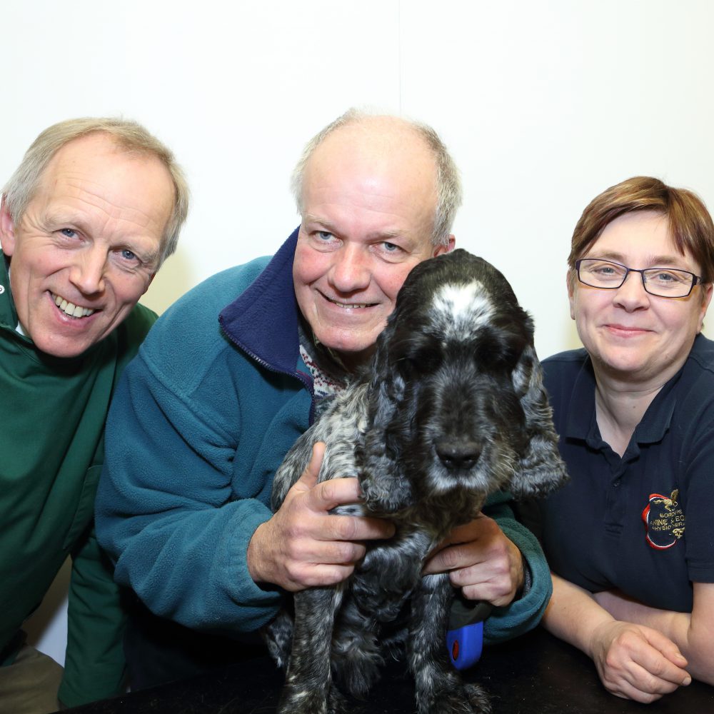 Pawsome feat as Barney set to complete epic dog walk