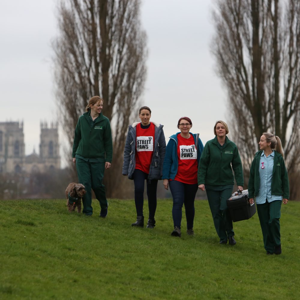 York veterinary team take skills to the streets to treat those who have it ruff