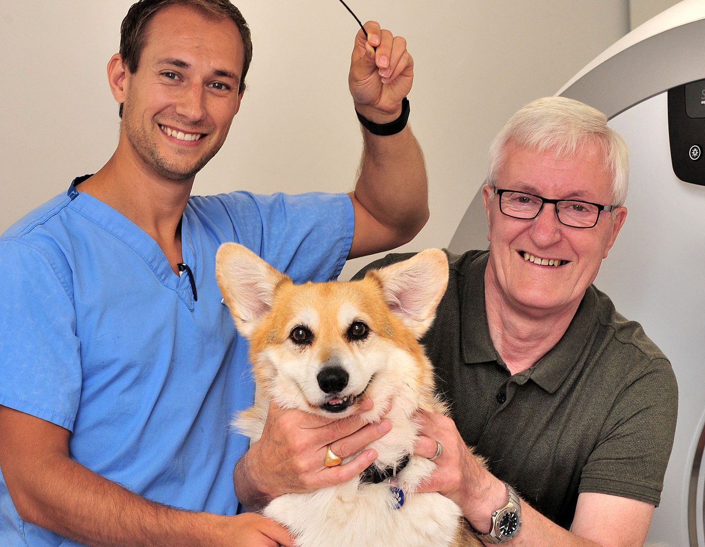Barney the corgi saved after swallowing a 10-inch stick