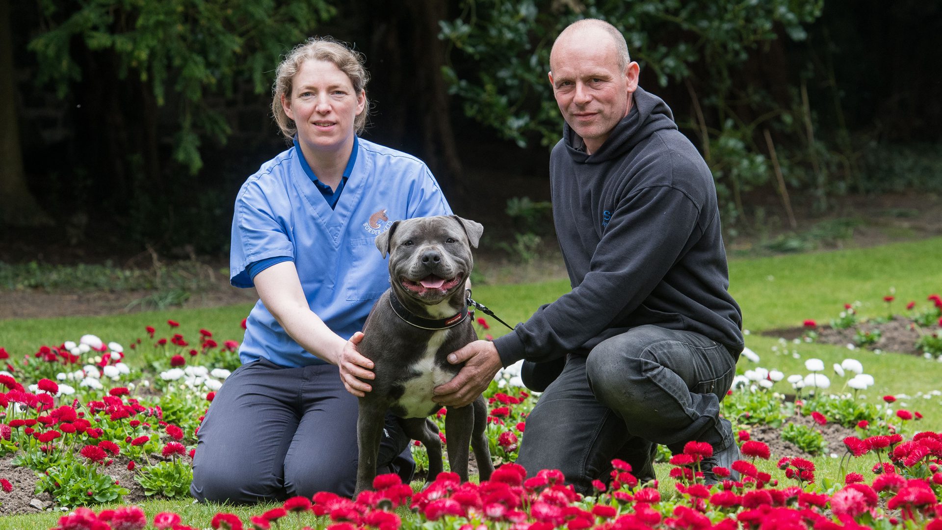 Warning to dog owners after Staffie nearly dies from eating mouldy food