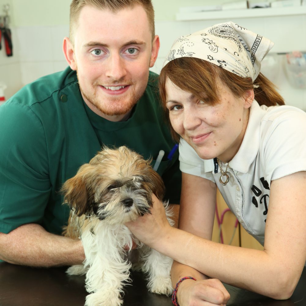 Puppy makes miracle recovery after massive drug overdose