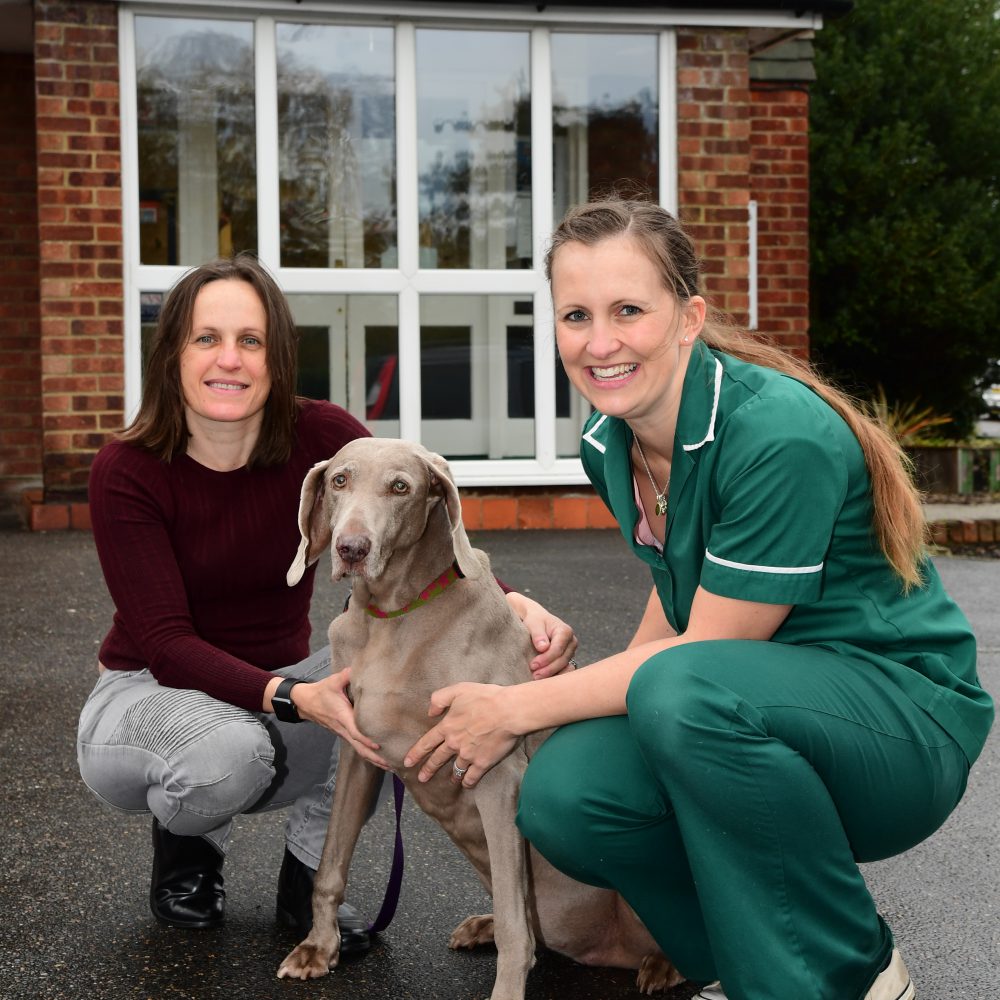 Age no barrier to Cleo – a year after life-saving operation