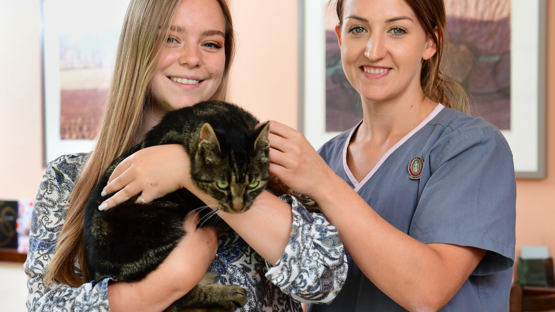 Family’s joy after missing cat is found after two years – thanks to microchip