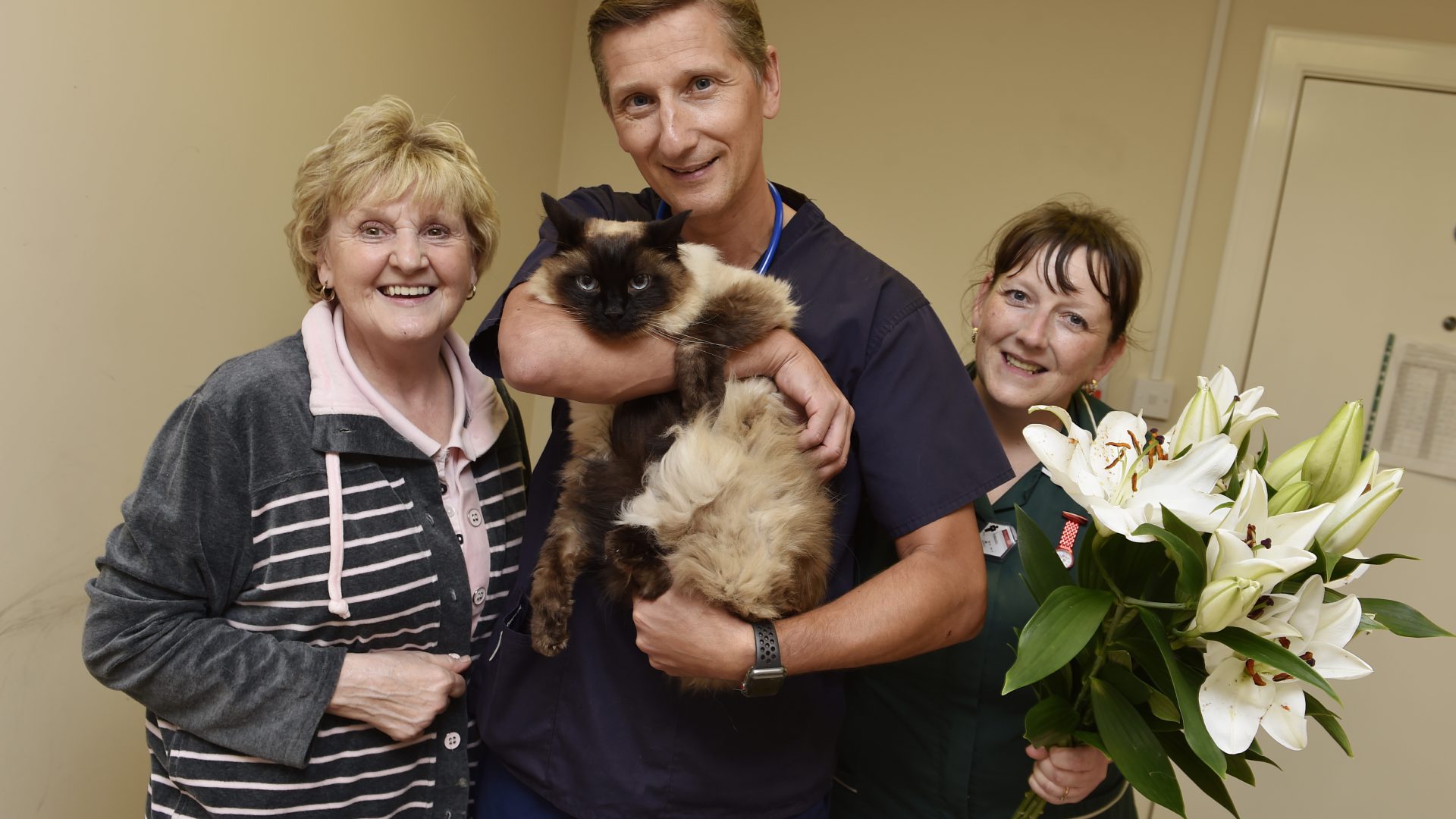 Vets warn of lily poisoning after Coco the cat comes back from brink of death – twice