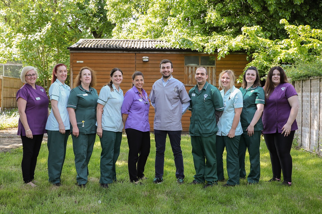 Pygmy hedgehog among new patients following investment at veterinary practice