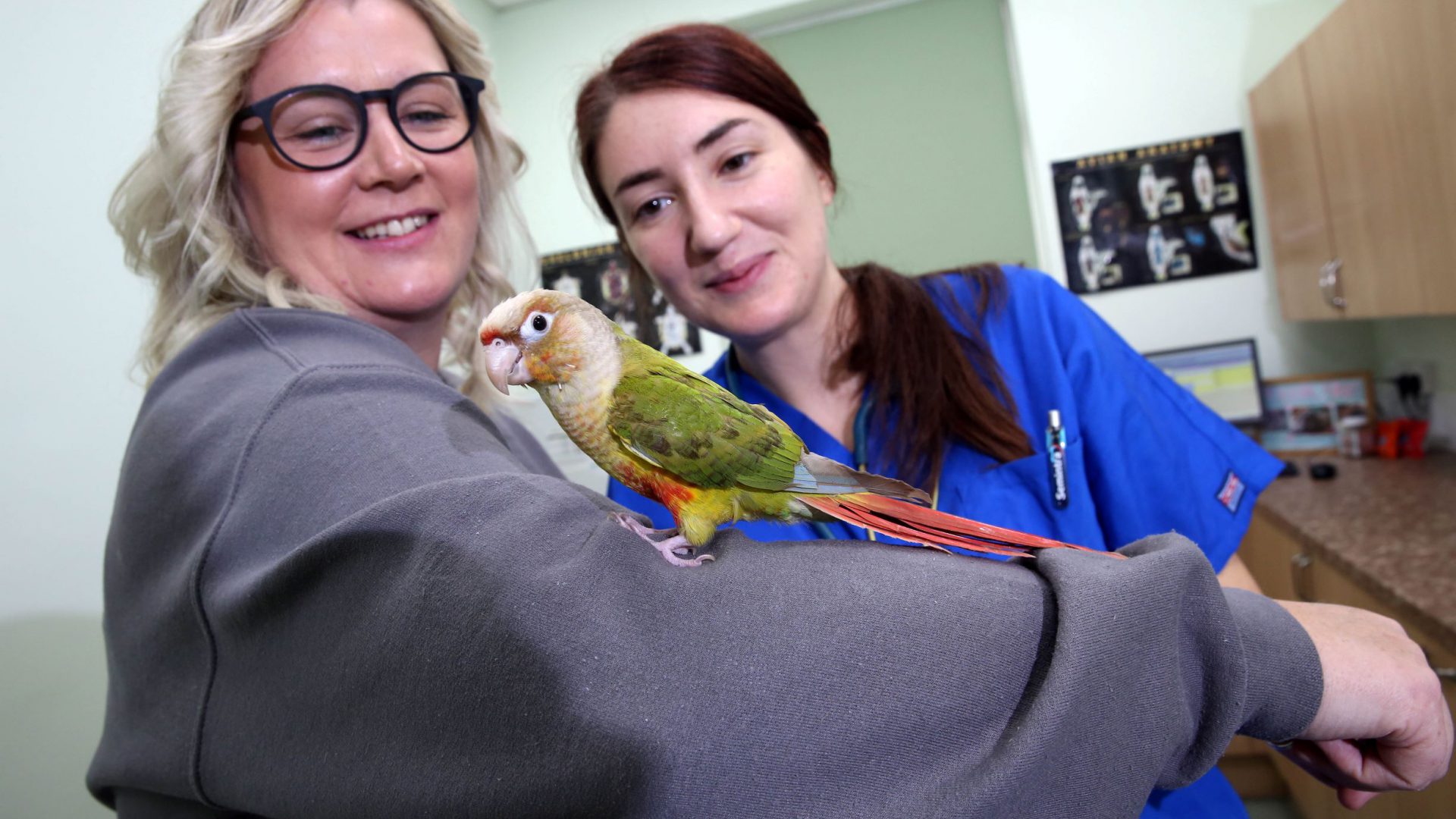 New vet Valeria providing care for exotic pets