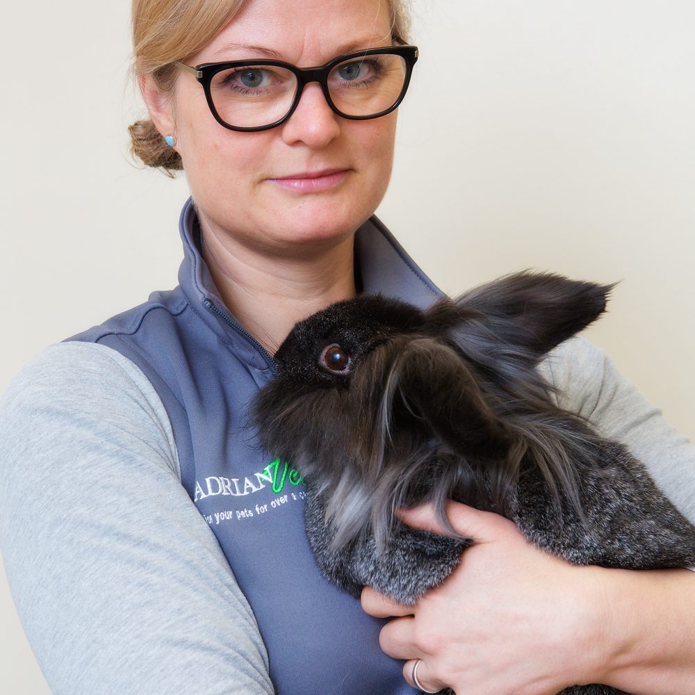 Owners urged to vaccinate rabbits after disease warning