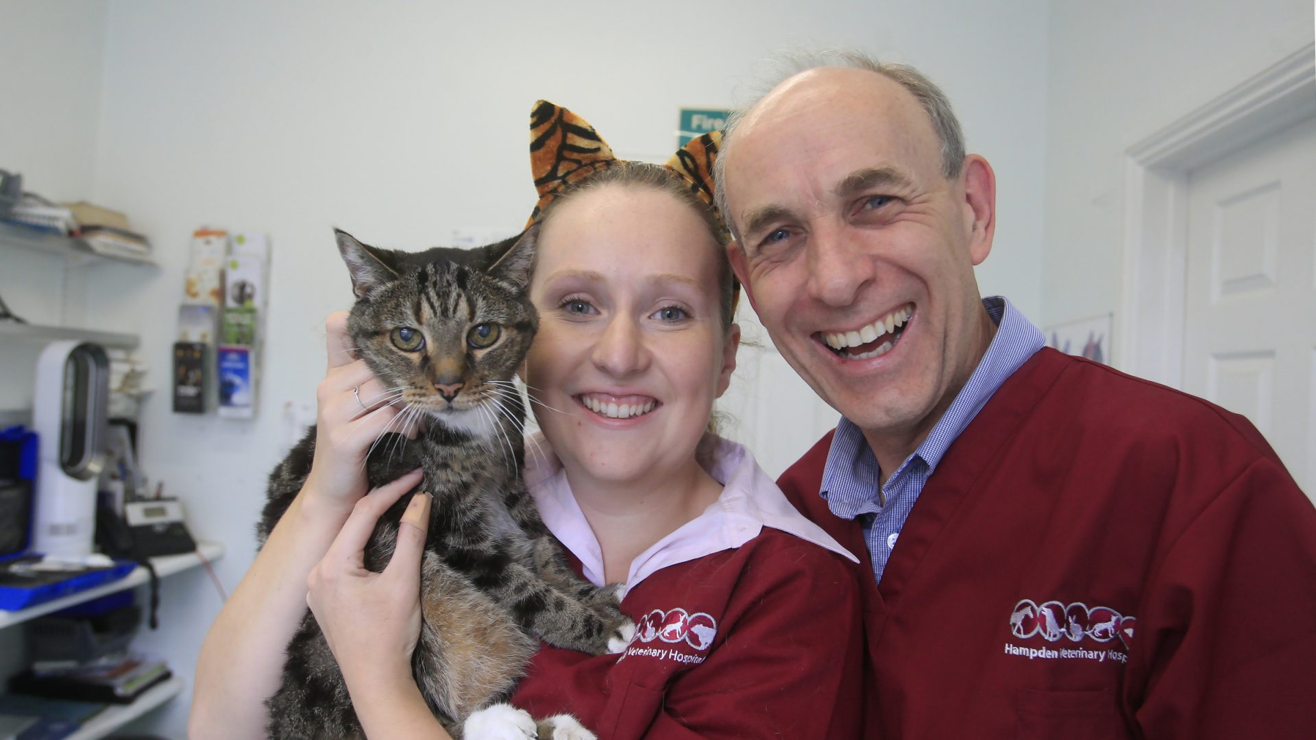 Hampden Vets makeover is cool for cats - VetPartners