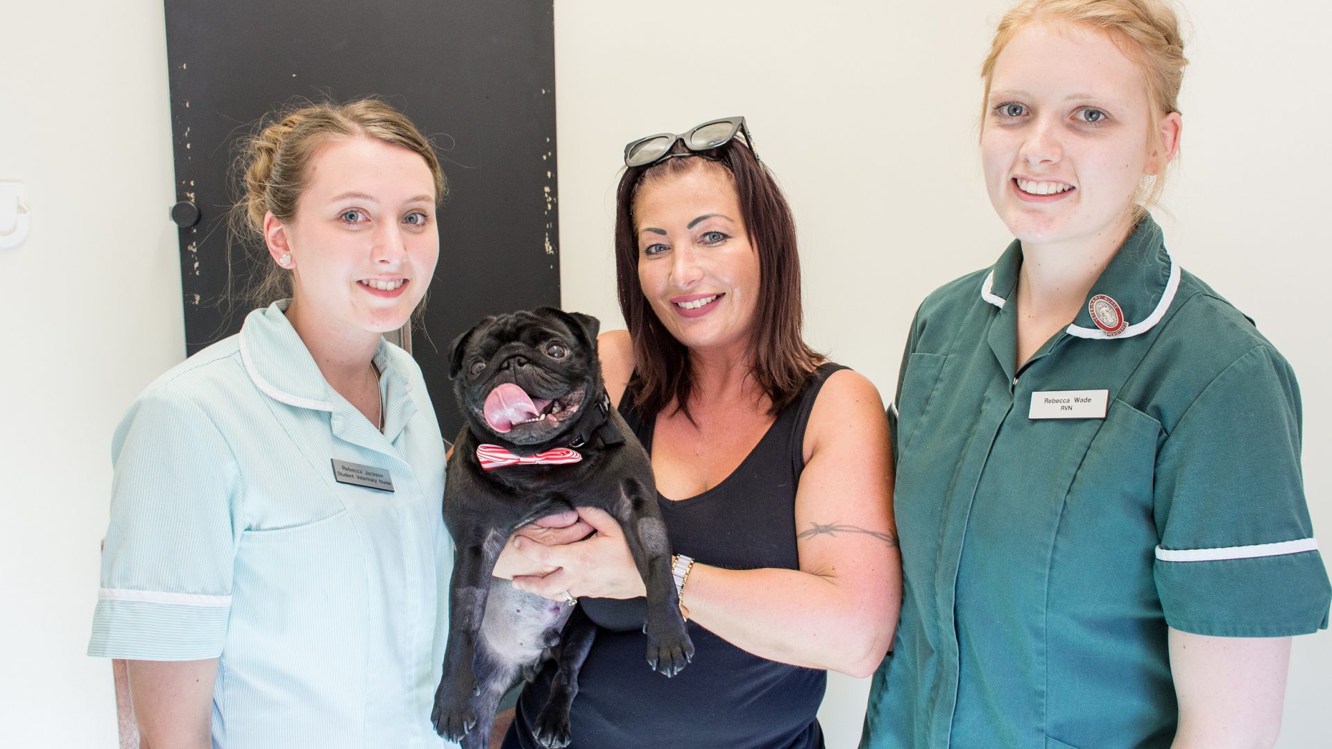 Doug the Pug saved by vets after swallowing cement powder