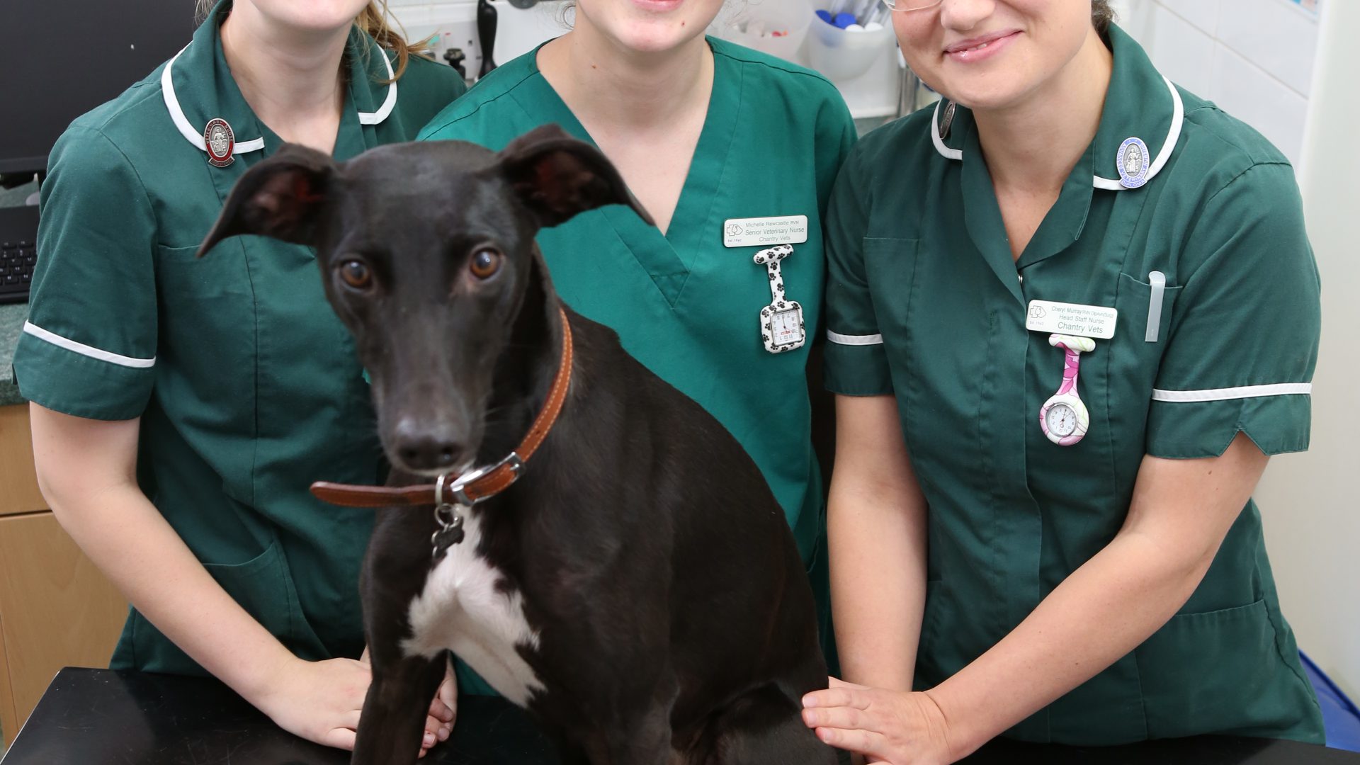 West Yorkshire veterinary nurses on road to success
