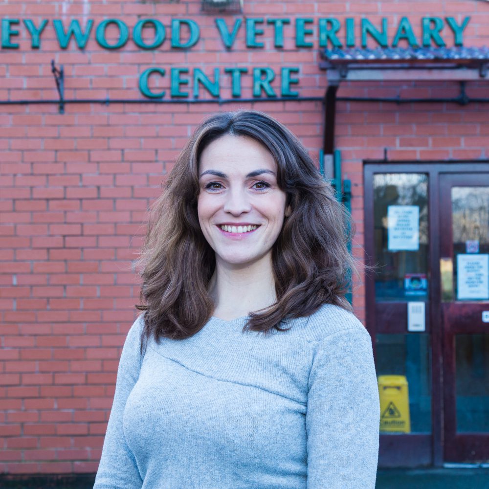 Former gymnast springboards to success at Heywood Veterinary Centre