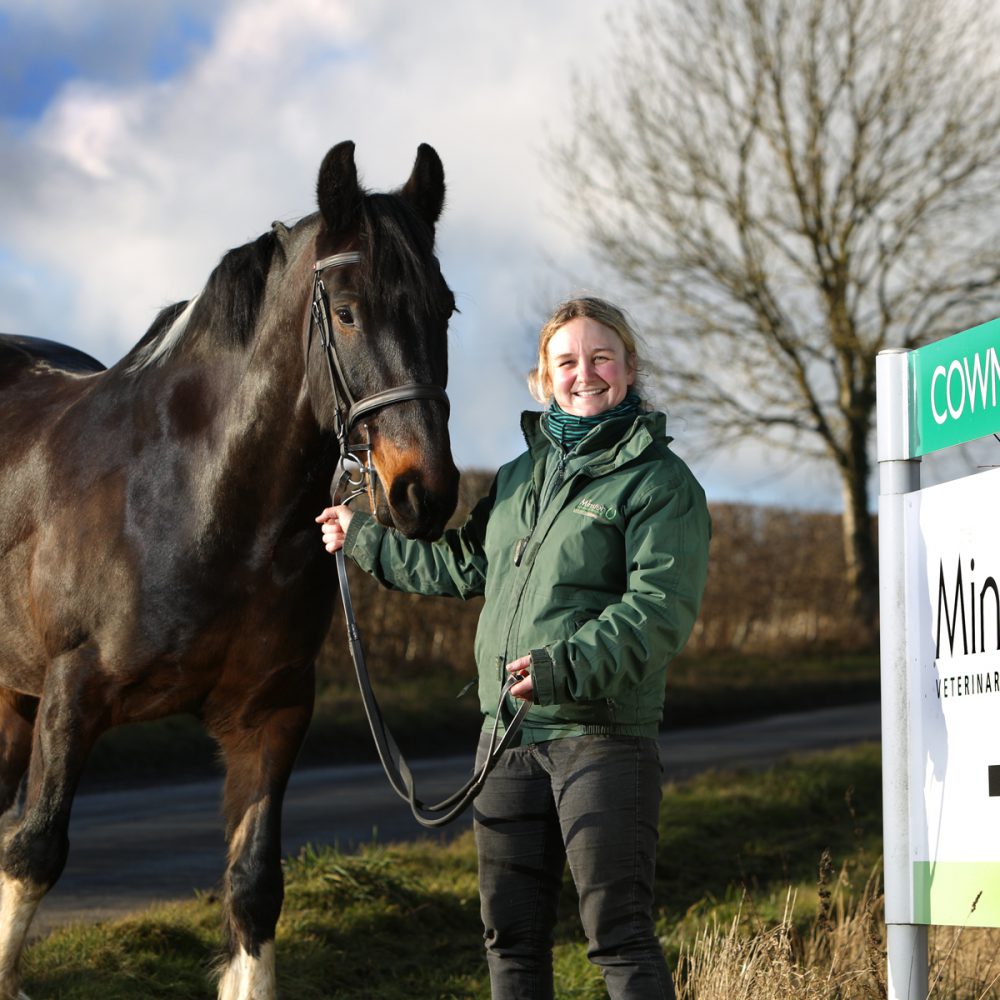 Horse vet Katie trots over to Ripon