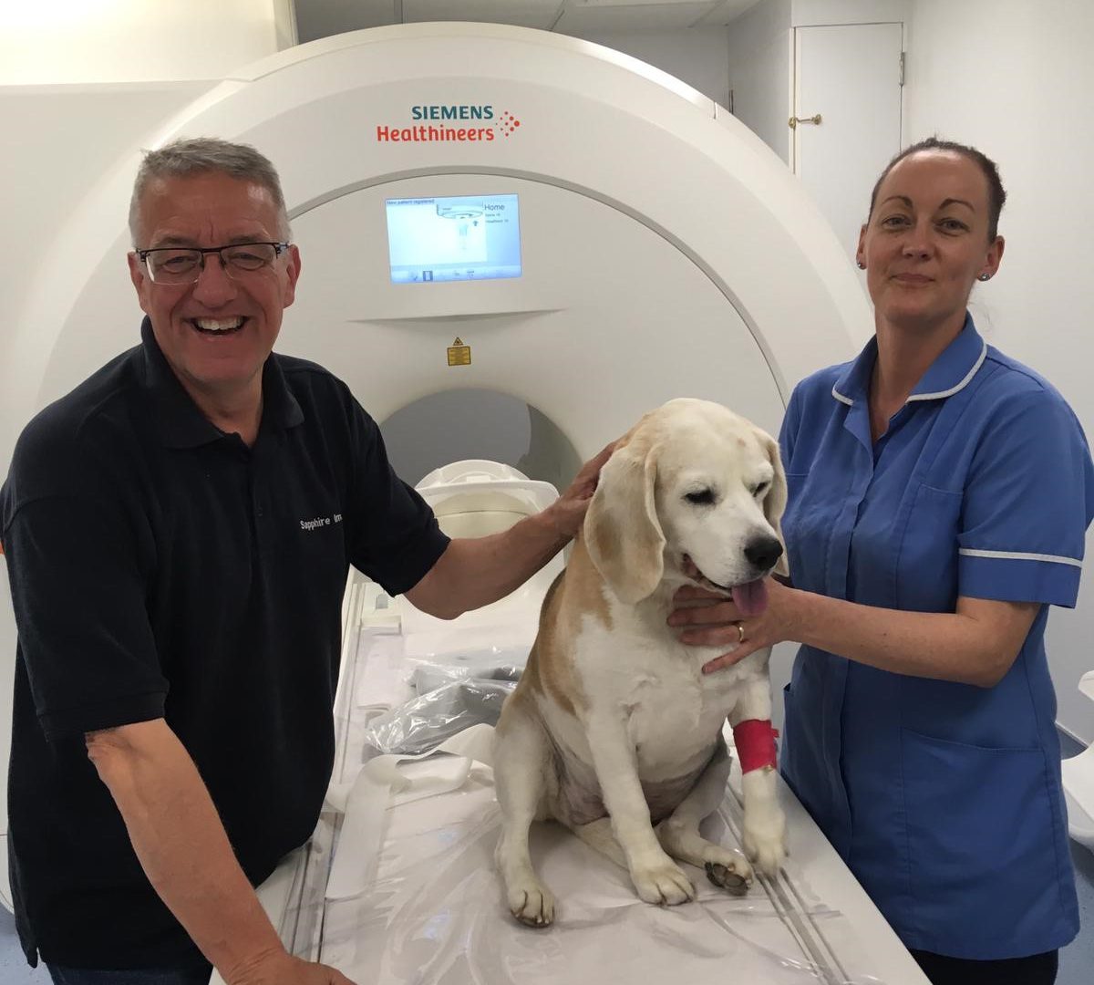 St Helens Veterinary Hospital £1million MRI scanner investment - VetPartners