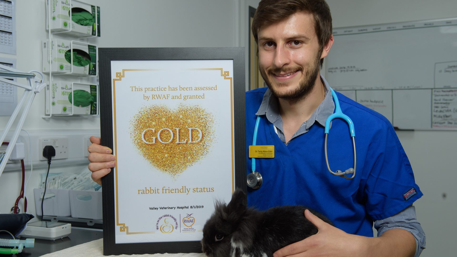 New Cardiff veterinary hospital is tops for rabbit care - VetPartners