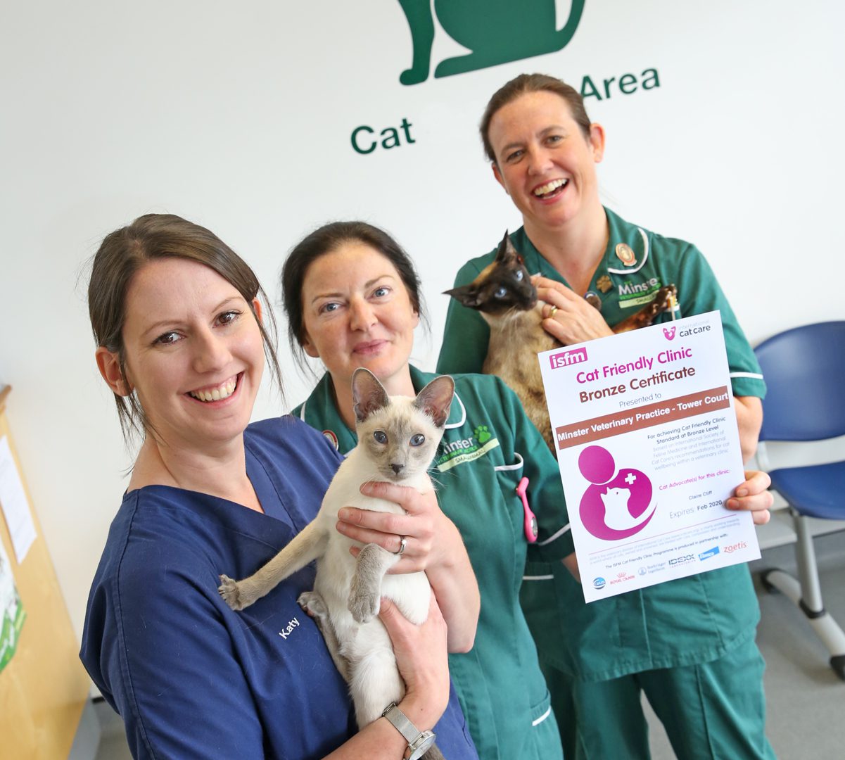 Cats think York vet practice is purr-fect haven