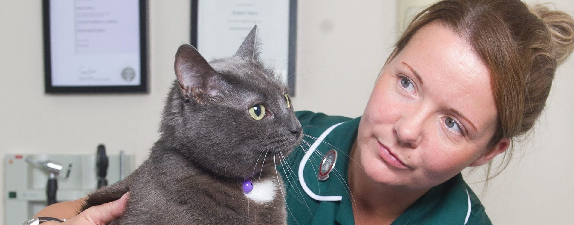 Veterinary nurse helping poorly pets get back on their paws