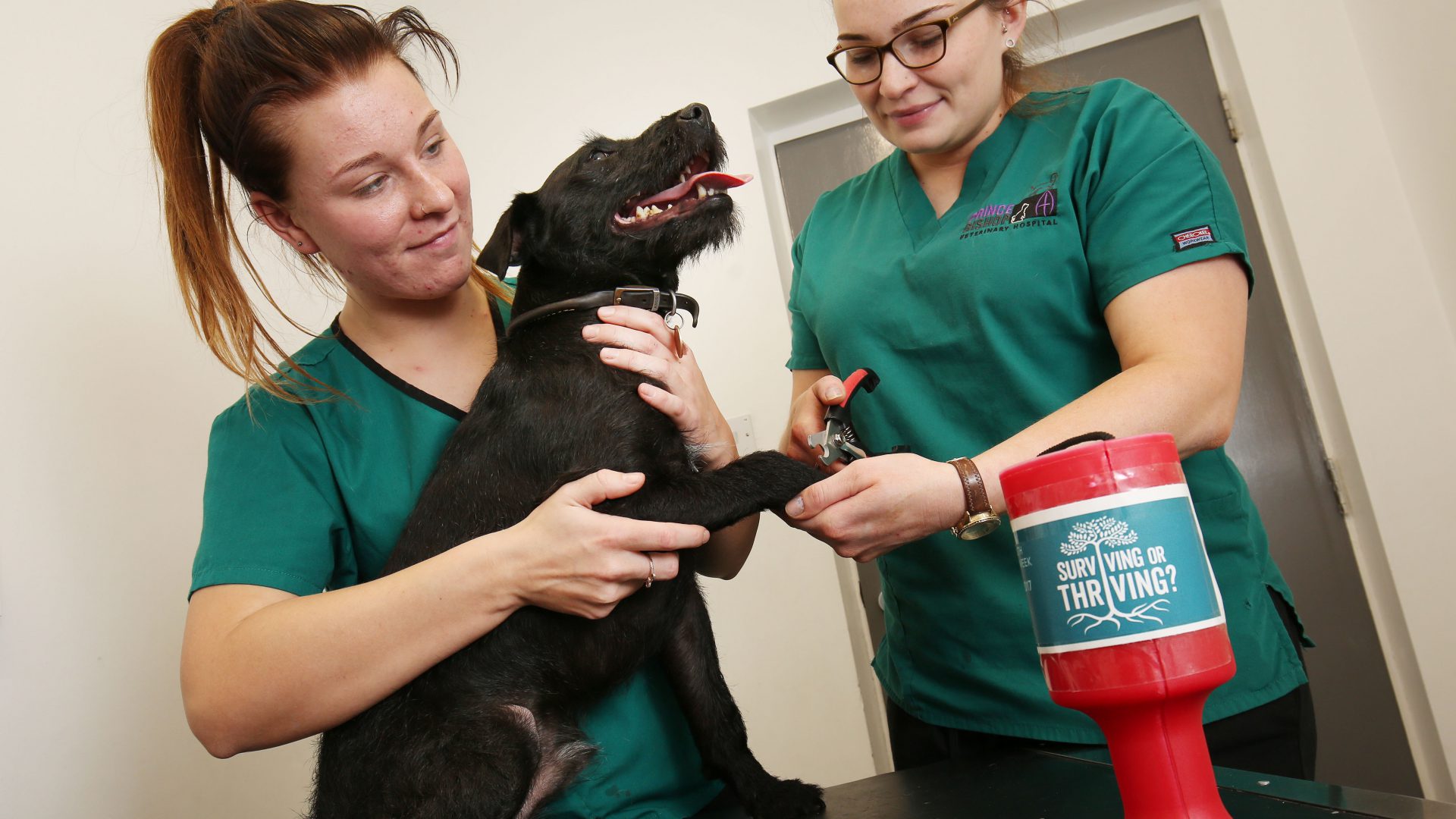 Staff wellbeing at heart of County Durham vets fundraising drive