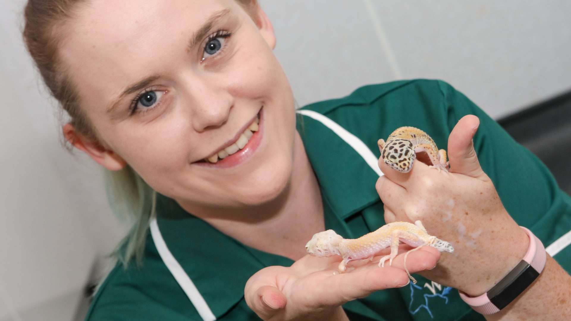 Lucky lizards nursed back to health after being dumped in park