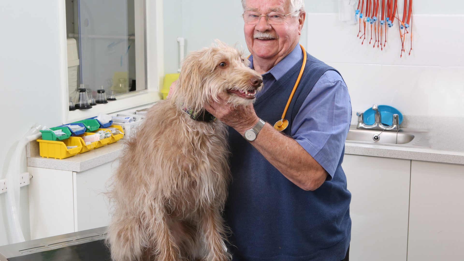 Age no barrier to York vet Willie