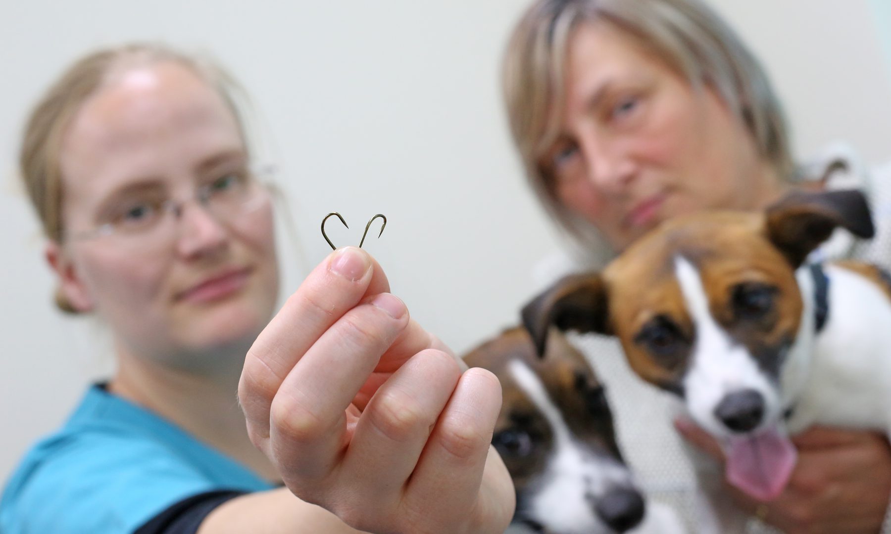 Vet issues warning after two dogs swallow fish hooks hidden in sausages