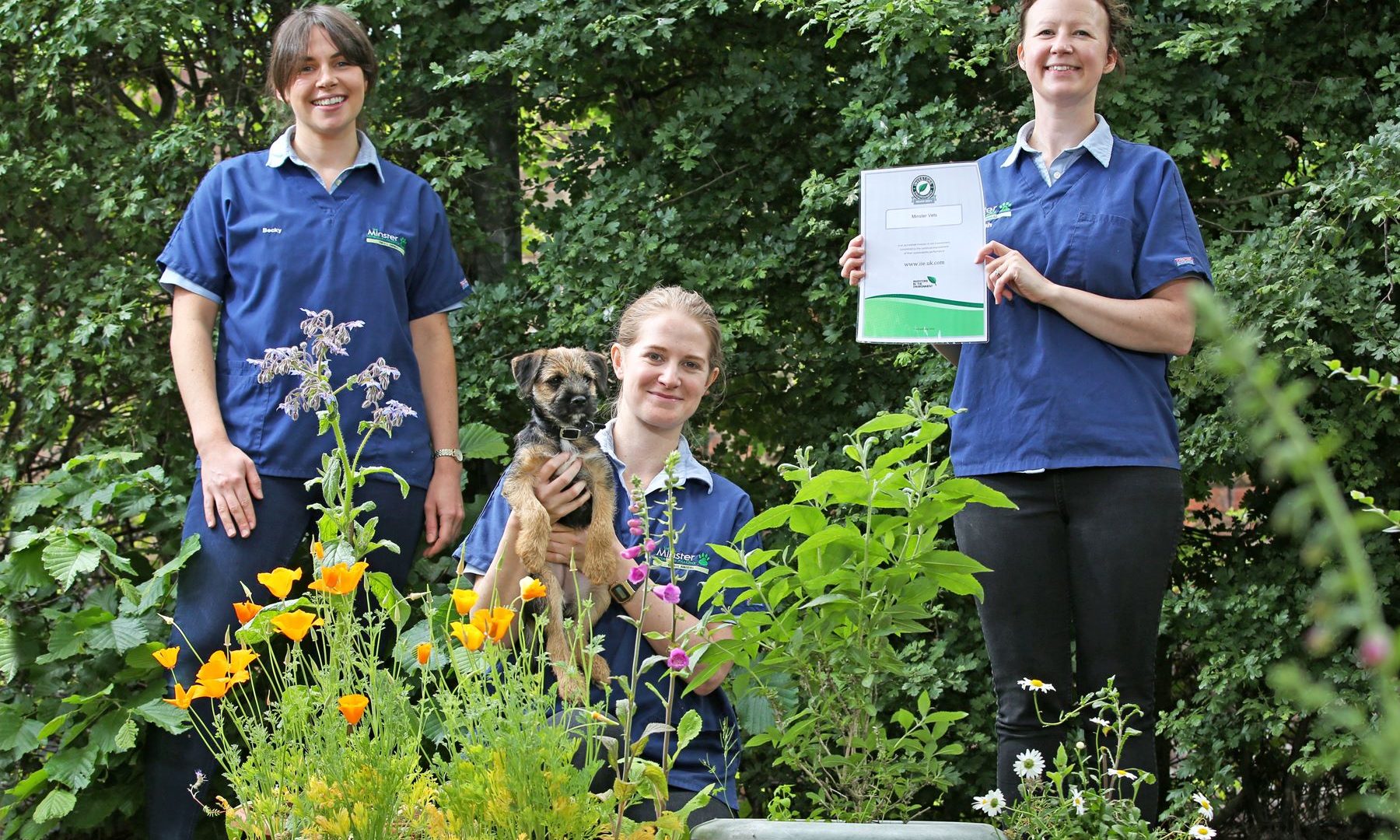 York veterinary practice lands environmental award