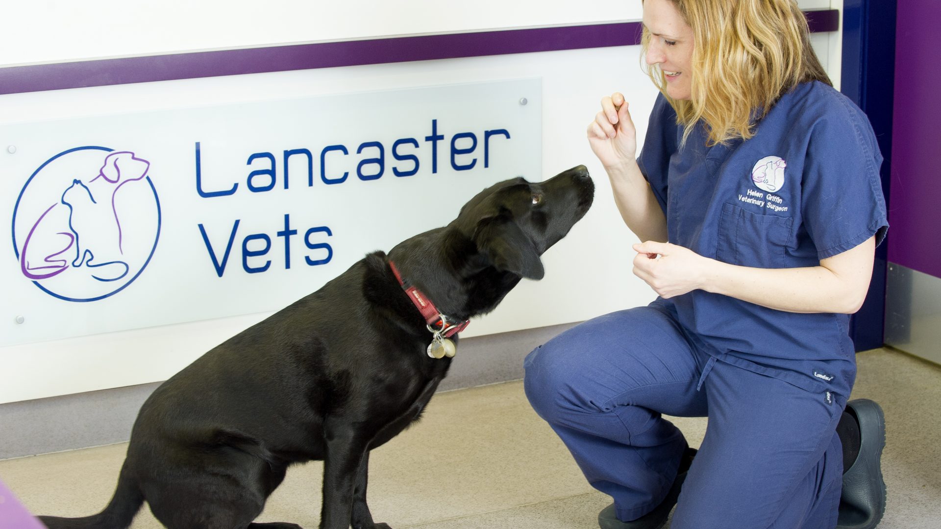 Why vet Helen loves being part of the VetPartners family