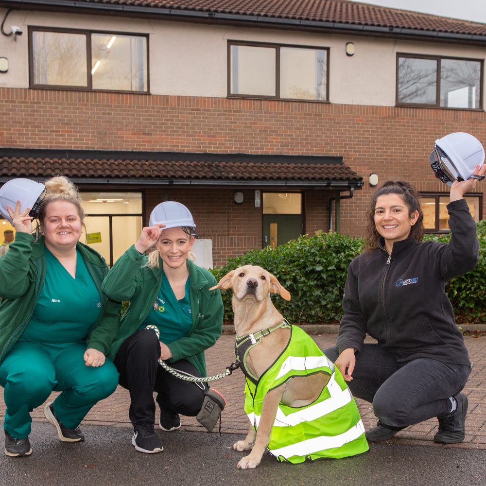 New £400k vet practice prepares to open doors