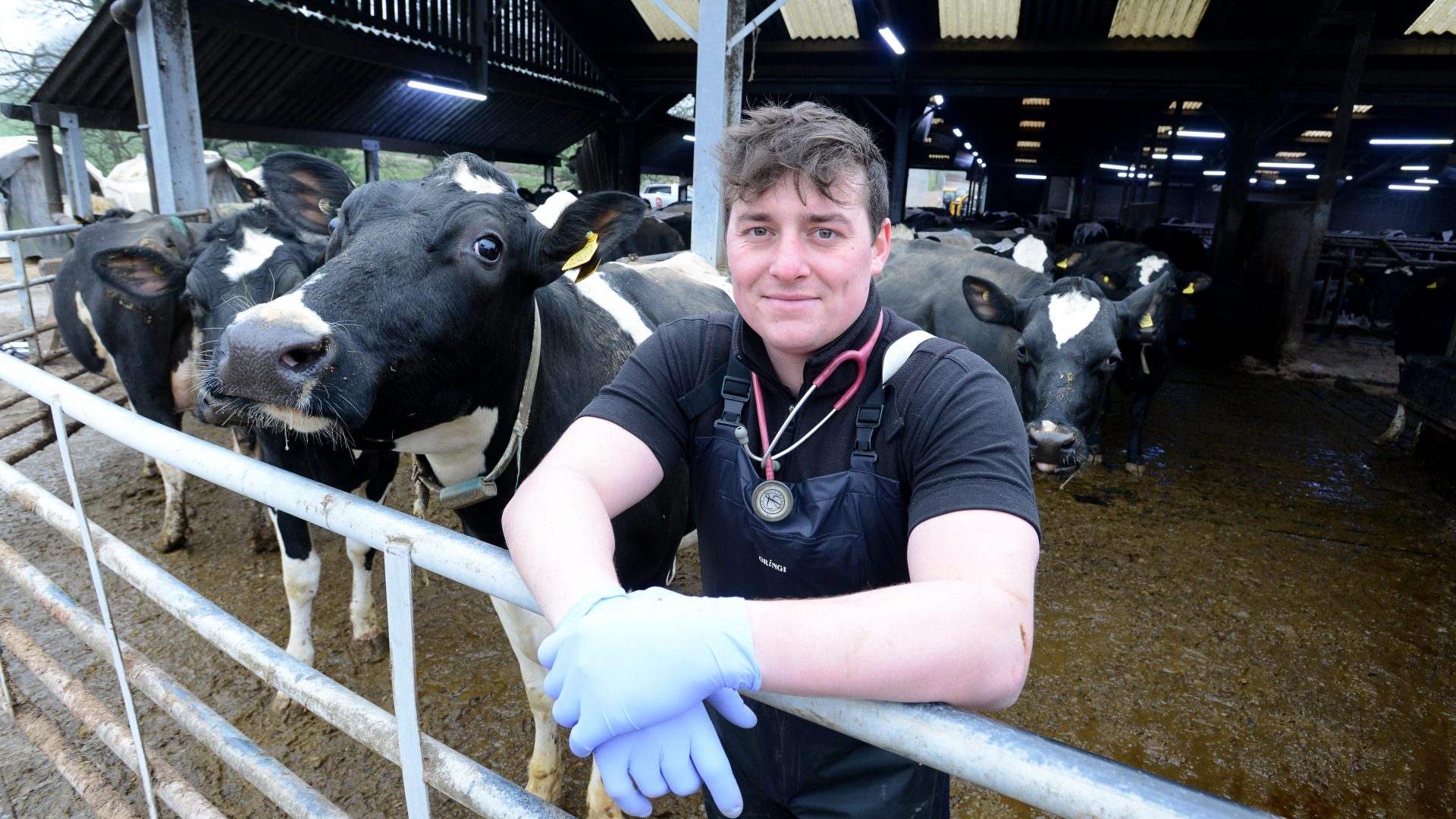 Caring culture is farm vet Charlie’s secret to happiness