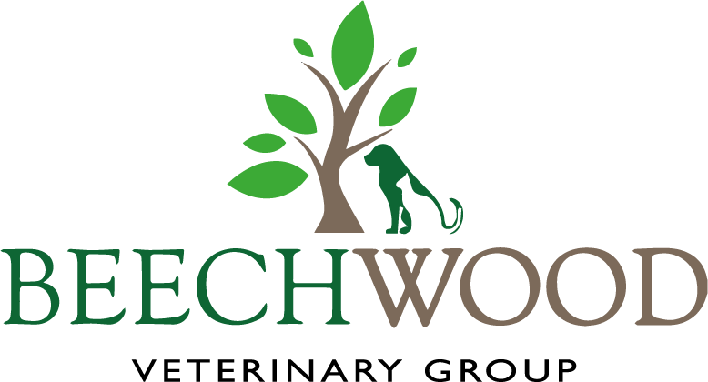 Beechwood Veterinary Group