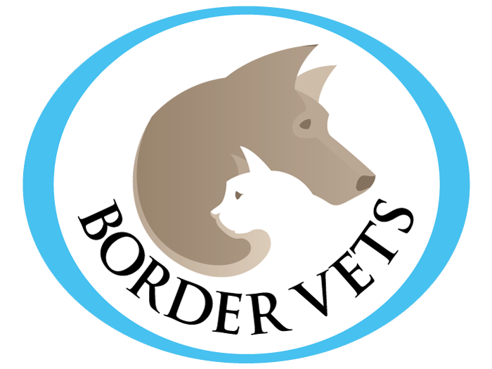 Border Vets