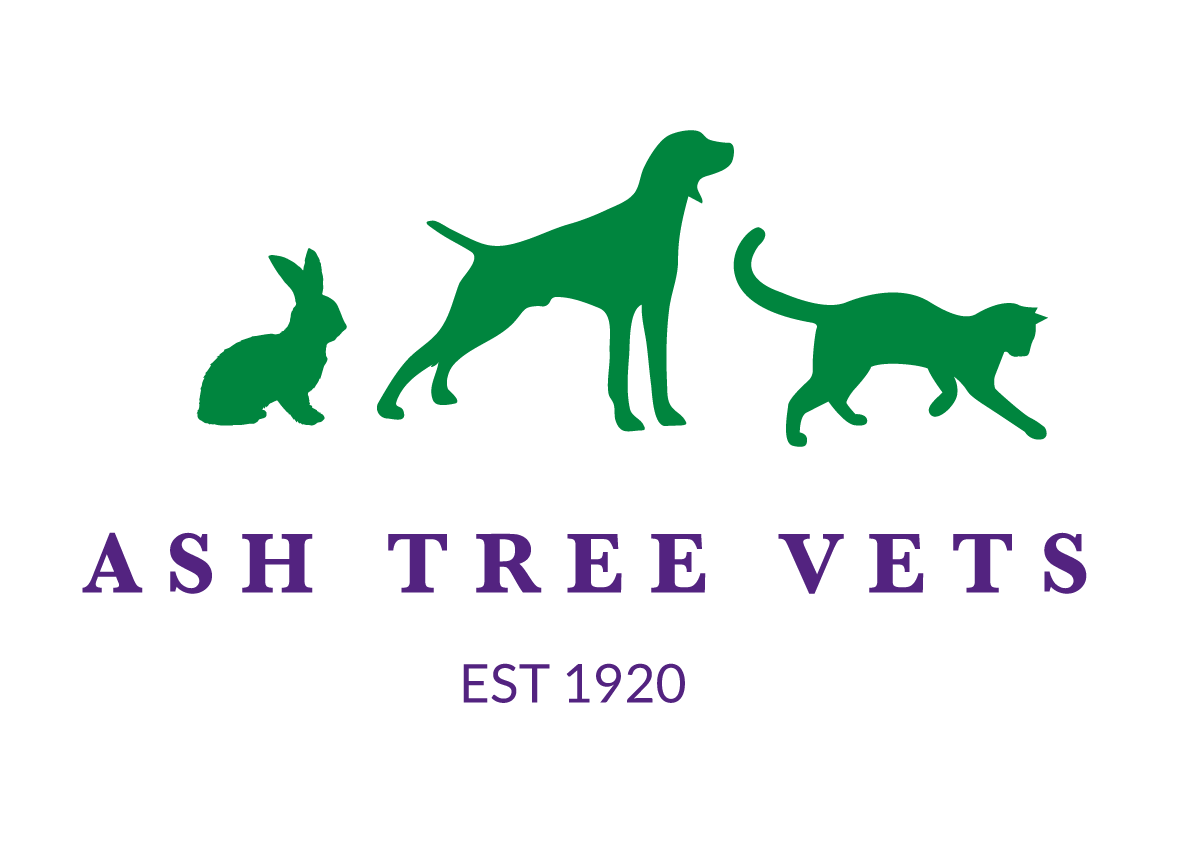 Ash Tree Vets