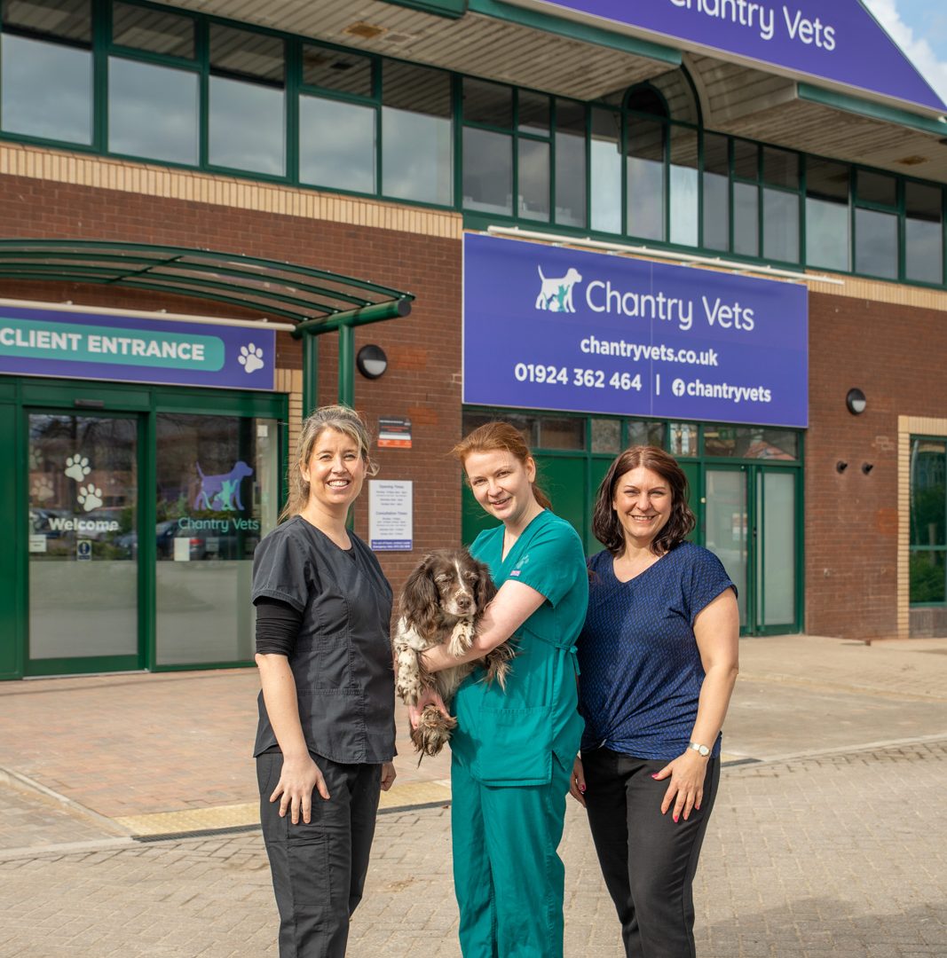 Chantry Vets’ new £1.6m flagship hospital set to open