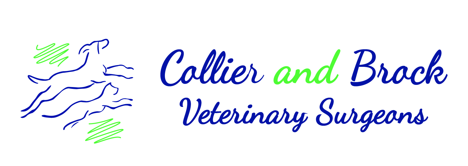 Collier & Brock Veterinary Surgeons