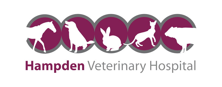 Hampden Veterinary Hospital 