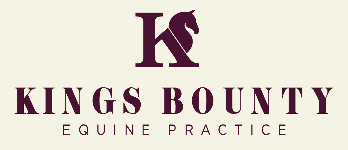 Kings Bounty Equine Practice