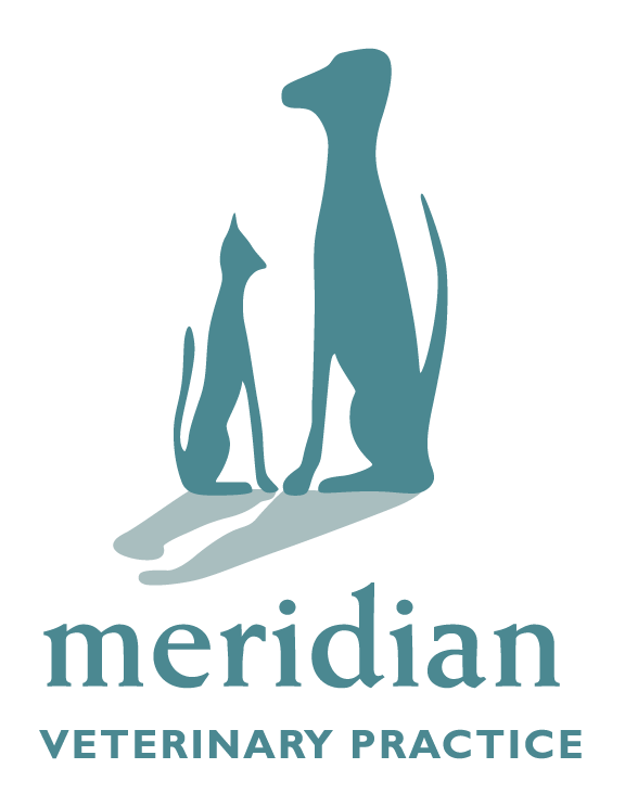 Meridian Veterinary Practice