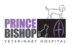Prince Bishop Veterinary Hospital