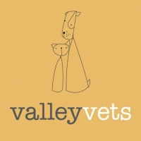 Valley Vets