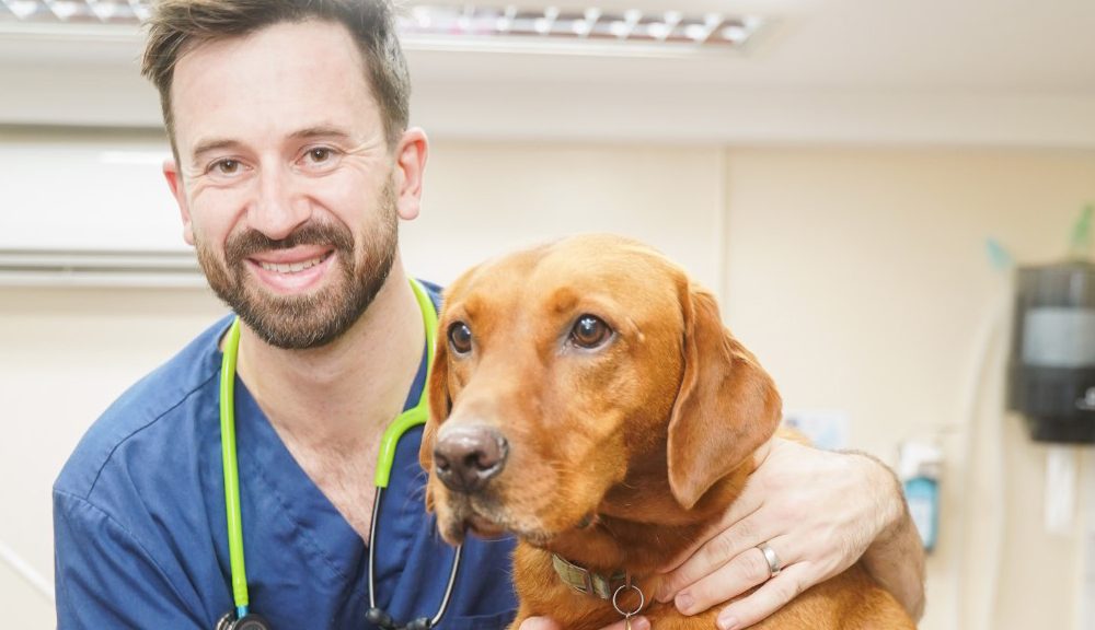 Vet James swaps a life of fighting crime for treating pets