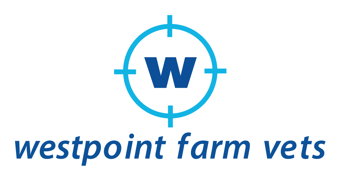 Westpoint Farm Vets