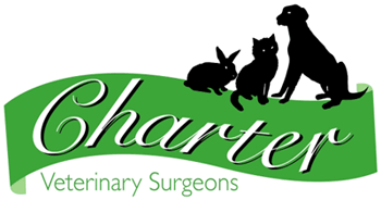 Willows Veterinary Group - Charter Vets