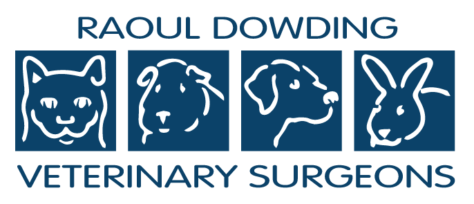 Raoul Dowding Veterinary Surgeons