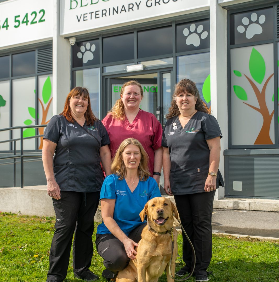 Boost for pets as new flagship Leeds practice set to open