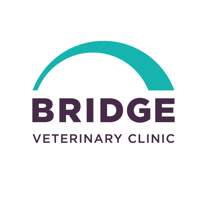 Bridge Veterinary Clinic