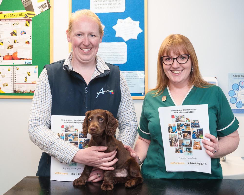 Boost for role of veterinary nurses as VetPartners shows commitment to profession